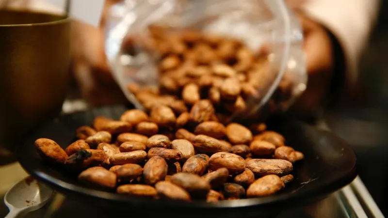 Bir fincan kakaonun erkekler için şaşırtıcı sağlık faydası