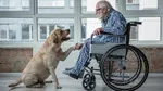 Köpekler Parkinson'u Koklayarak Mı Teşhis Ediyor? Şaşırtan Keşif!