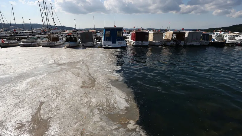 Marmara Alarm Veriyor! Atık Havuzuna Mı Dönüşüyor?