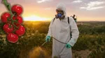 Zeka Gerilemesine Yol Açan Pestisit Alarmı! Sofralarımızdaki Tehlike!